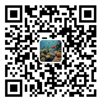 海菜网